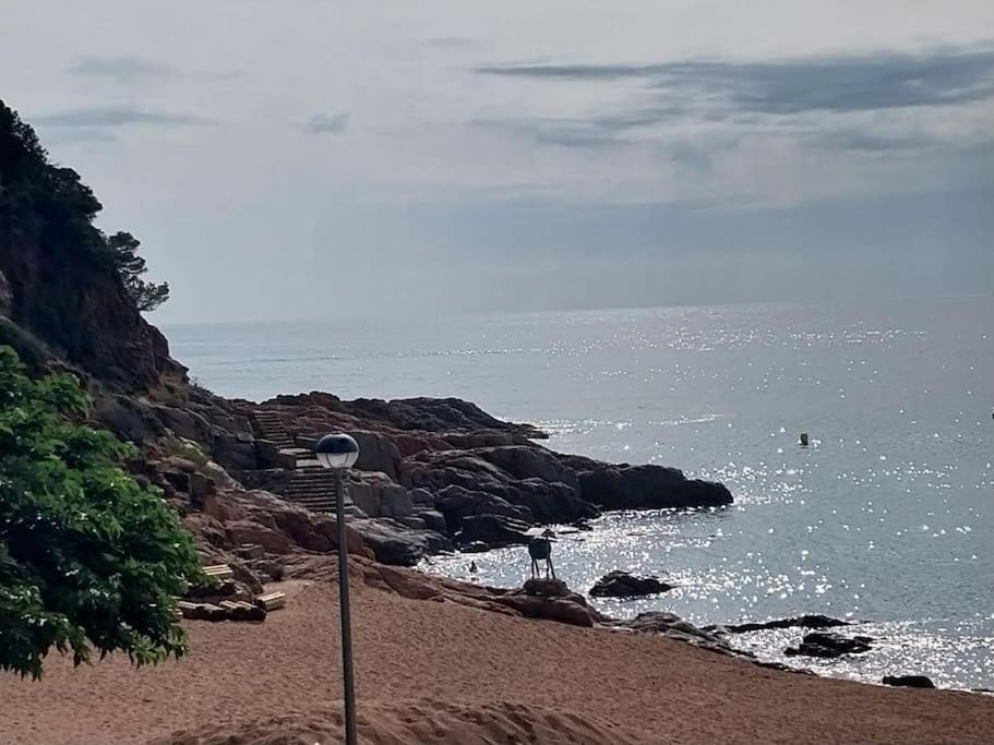 Cala Salions Balandro II Tossa De Mar Lejlighed Canet De Mar Eksteriør billede