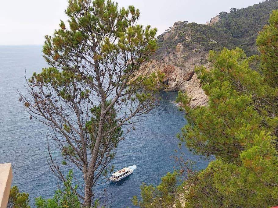 Cala Salions Balandro II Tossa De Mar Lejlighed Canet De Mar Eksteriør billede